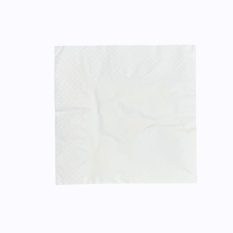 40cmx40cm 2ply dinner napkins 40cmx40cm 2ply dinner napkins